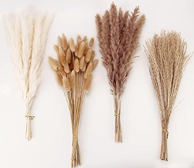 Dried Pampas Grass Decor, 100 Stems Pampas Grass Contains Bunny Tails Dried Flowers, Reed Grass Bouquet for Wedding Boho Flowers Home Table Decor, Rustic Farmhouse Party (17", White and Brown) - image 2 of 4