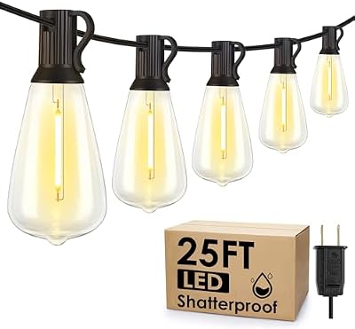 Larkvue 25FT Outdoor String Lights, Patio Lights with 10+1 LED Dimmable Waterproof Shatterproof ST38 Retro Edison 2700K Bulbs for Balcony Yard, Black - image 2 of 4